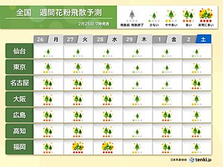 花粉情報　明日26日(月)は九州～関東で花粉対策を万全に　この先の予測やピークは