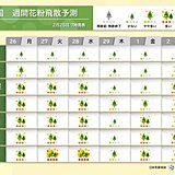 花粉情報　明日26日(月)は九州～関東で花粉対策を万全に　この先の予測やピークは