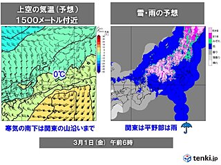 29日夜～1日は南岸低気圧が通過　関東平野部は雨　山沿いでは大雪　荒天のおそれ