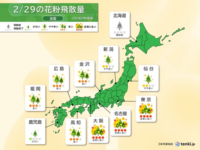 花粉情報　今日29日は近畿～関東甲信で大量飛散　西から雨エリア拡大も油断せず