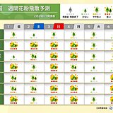 都内でスギ花粉の最盛期に突入　雨上がりで3月スタート　花粉の大量飛散続く