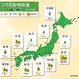 花粉情報　2日は東京で「非常に多い」　多摩ではすでに全体の25パーセントが飛散か