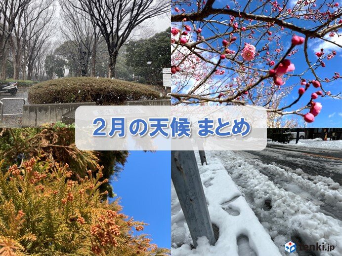 2月の天候まとめ　西日本では最も気温の高い2月　日本海側の雪もかなり少ない