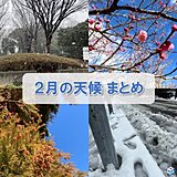 2月の天候まとめ　西日本では最も気温の高い2月　日本海側の雪もかなり少ない