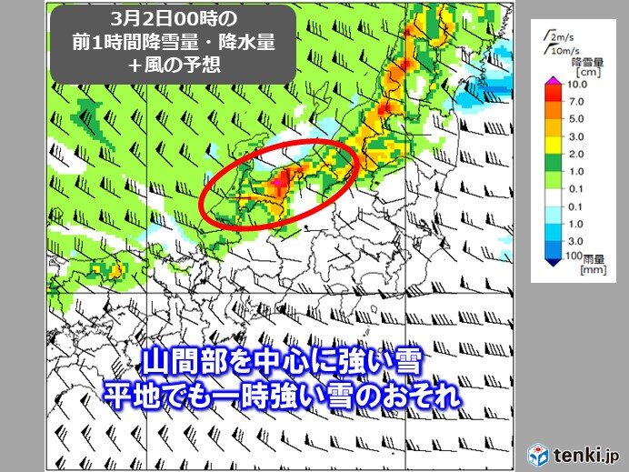 降雪のピークは1日(金)夜遅くから2日(土)の朝か　平地でも局地的な雪の強まりに注意