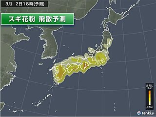 花粉　土曜は太平洋側を中心に飛散　日曜以降は大量飛散の日が多い　いつまでピーク?