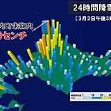 北海道　石狩北部や留萌・宗谷地方では3日早朝にかけて猛吹雪に警戒