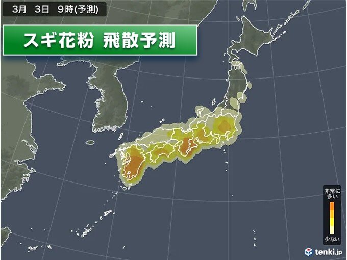 スギ花粉のピーク　ピークはいつまで?