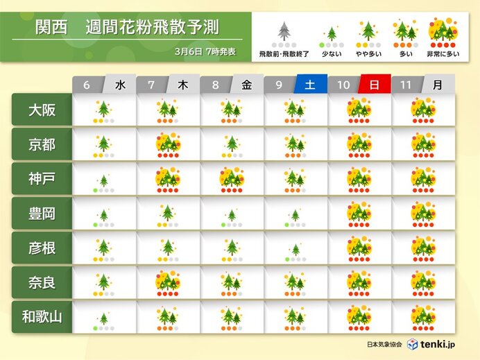 関西　スギ花粉最盛期　10日(日)と11日(月)は全域で大量飛散の恐れ