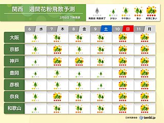 関西　スギ花粉最盛期　10日(日)と11日(月)は全域で大量飛散の恐れ