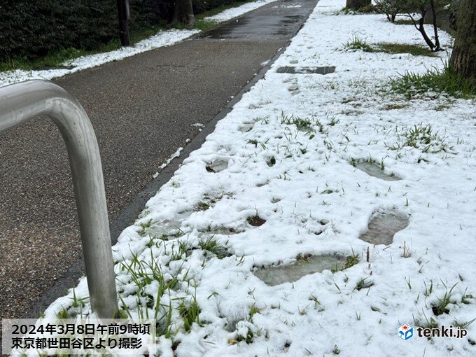 東京都心で1センチの積雪　3月上旬の積雪は19年ぶり