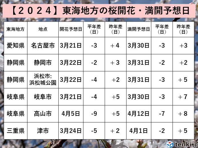 東海地方　桜開花はいつ頃?