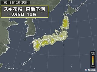 花粉情報　9日は真冬の寒さでも対策を　10日以降は大量飛散　ヒノキ花粉にも注意