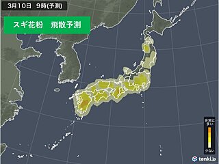 今日10日の花粉情報　広くスギ飛散のピーク　万全な対策を　九州はヒノキ花粉も