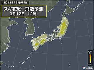 スギ花粉のピーク続く　12日は少ない所も対策を　3月下旬はヒノキ花粉が大量飛散