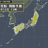 スギ花粉のピーク続く　12日は少ない所も対策を　3月下旬はヒノキ花粉が大量飛散