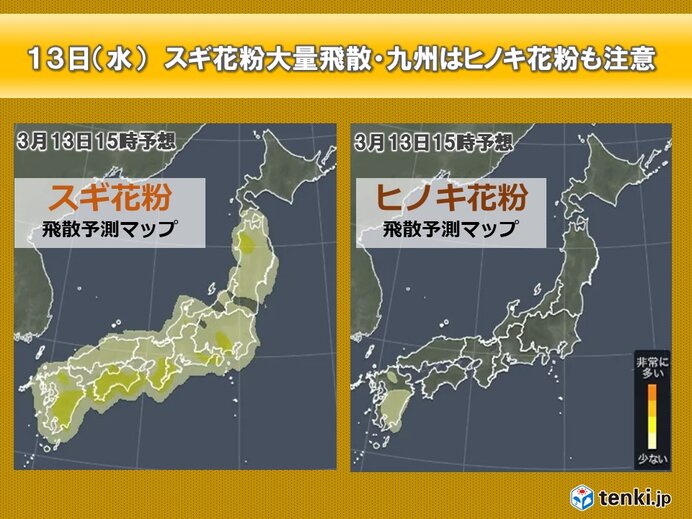 明日13日　花粉大量飛散　万全な対策必須の1週間　関東は予想の約8割飛散した所も