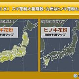 明日13日　花粉大量飛散　万全な対策必須の1週間　関東は予想の約8割飛散した所も