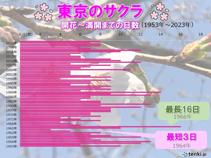 桜　開花・満開どうなる?