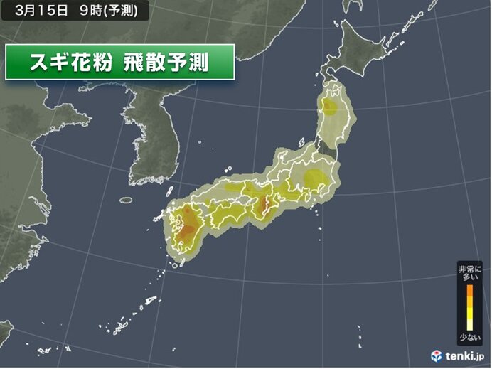花粉情報　今日も九州～東北で飛散　対策を　スギやヒノキのピークいつまで?