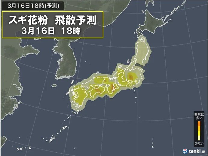 花粉情報　週末は気温上昇　花粉が大量飛散　3月下旬はヒノキ花粉が続々とピークに