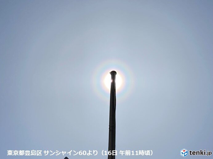 東京都内では花粉光環も