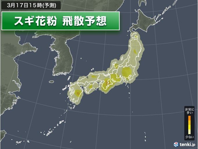 花粉情報　今日17日も花粉は大量飛散　雨でも油断禁物　対策は万全に