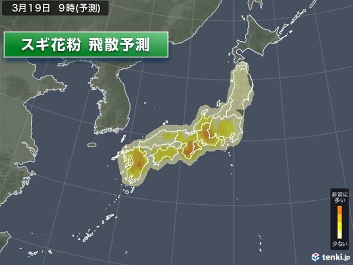 花粉　今日も九州～東北で飛散　西からスギのピークは越えつつも関東など大量飛散続く