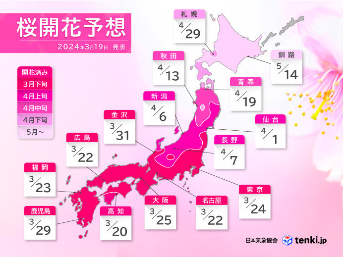 2024年桜開花予想更新　桜の開花迫る　寒の戻りで前回より遅く　東京24日