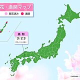 高知で桜(ソメイヨシノ)開花　昨年より6日遅い　今年全国でトップ