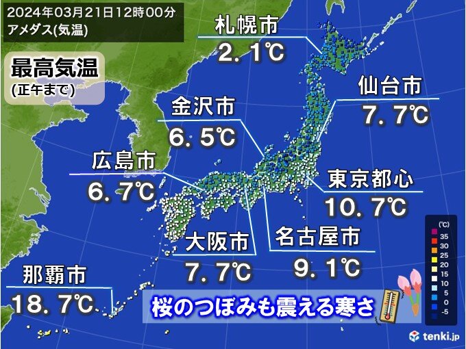 今日21日　全国的に北風冷たい　桜のつぼみも震える寒さ　週末からいよいよ暖かく