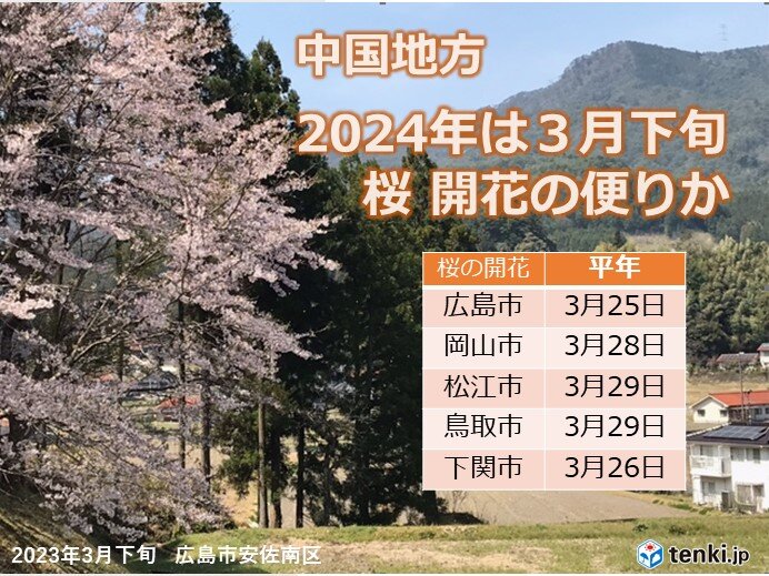 中国地方　明日の朝は凍える寒さ　土曜日から火曜日は断続的に雨　桜の開花促す雨に