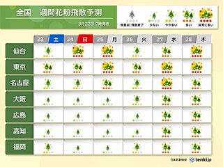 花粉情報　週末も東京・仙台で大量飛散　九州・関東ではヒノキ花粉も