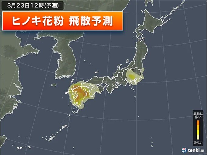 花粉情報　今日23日は東京と福岡「非常に多い」予想　雨でも油断禁物　対策は万全に_画像