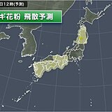 26日の花粉情報　九州から東海・東北北部など花粉が飛ぶ　九州はヒノキ花粉も