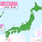 26日　熊本で桜開花　平年・昨年より4日遅い