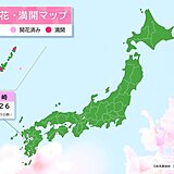 長崎で桜開花　平年より3日遅く　昨年より5日遅い　西から春の便り続々