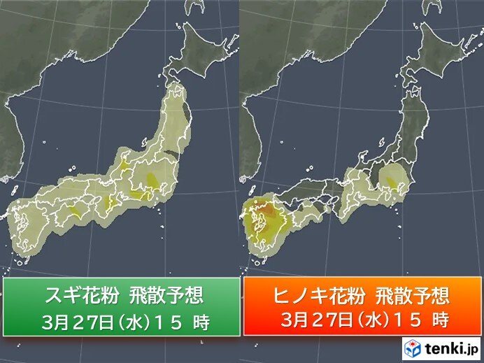 東海・関東・東北で花粉が「非常に多い」