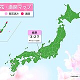 福岡・松山に続き、岐阜で桜開花　昨年より11日遅い　今週末からお花見日和が続く