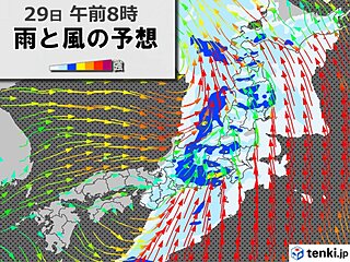 関東　明日朝は局地的に「激しい雨」　週末は都心26℃予想で桜の開花ラッシュか