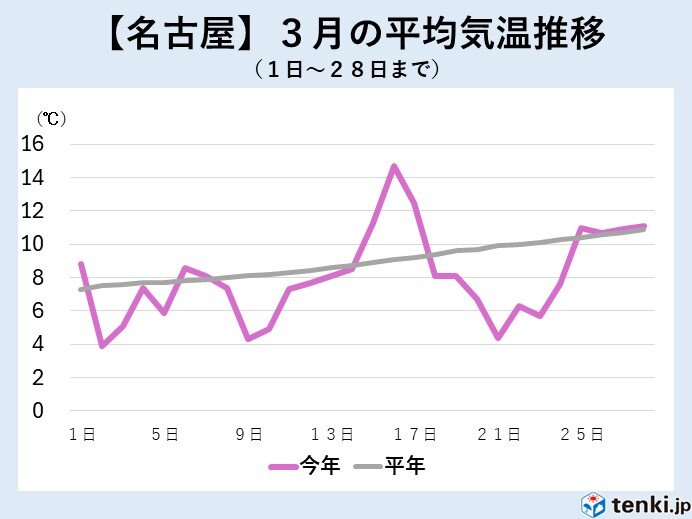 寒さで桜開花は足踏みも　この先開花ラッシュ