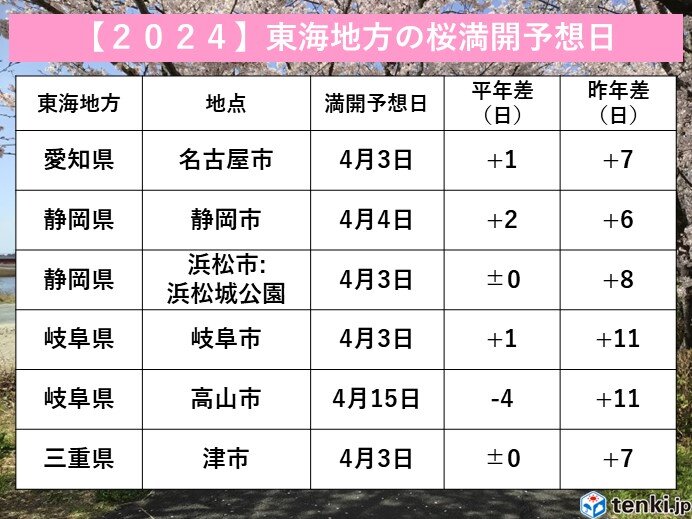 東海地方の満開はいつ頃?