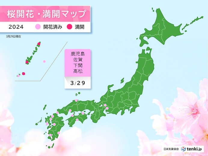 鹿児島・佐賀・下関・高松で桜開花　この先も続々と開花の便りが届きそう