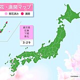 鹿児島・佐賀・下関・高松で桜開花　この先も続々と開花の便りが届きそう