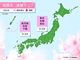 東京・西日本各地で桜開花　この先も続々と開花の便りが届きそう