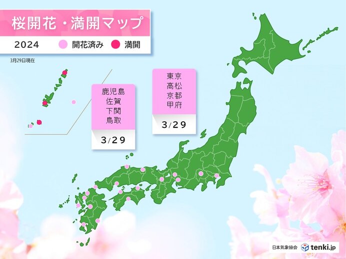 東京・甲府・西日本各地で桜開花　この先も続々と開花の便りが届きそう