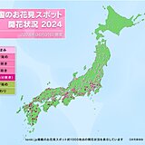 最新桜情報　今日1日は横浜などで開花　桜前線は陸奥入りへ　西日本は見頃迎える