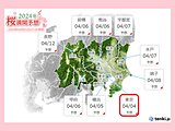 関東　お花見オススメはいつ?　花散らしの雨は?　東京「桜の満開」予想は4日(木)