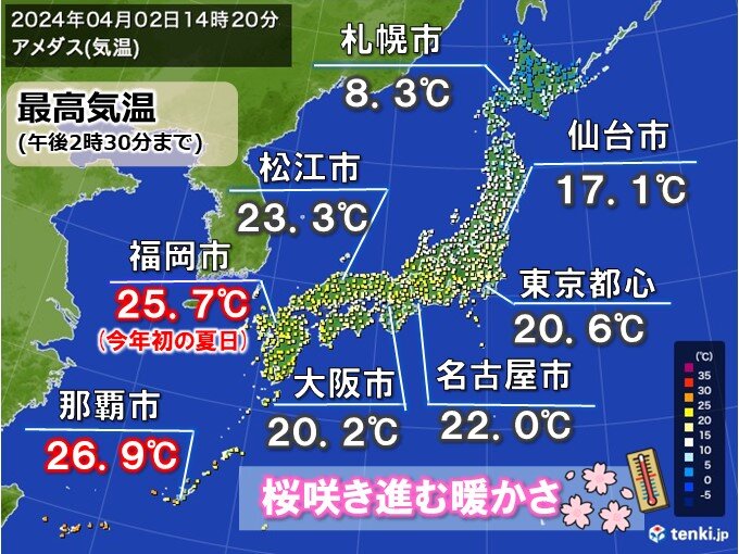 桜満開の福岡は今年初の夏日　都心など関東以西で20℃超　明日3日～4日は桜に雨