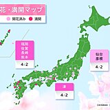 春の便りが続々と　福岡・津など桜満開　仙台・彦根で桜開花　秋田では梅が開花